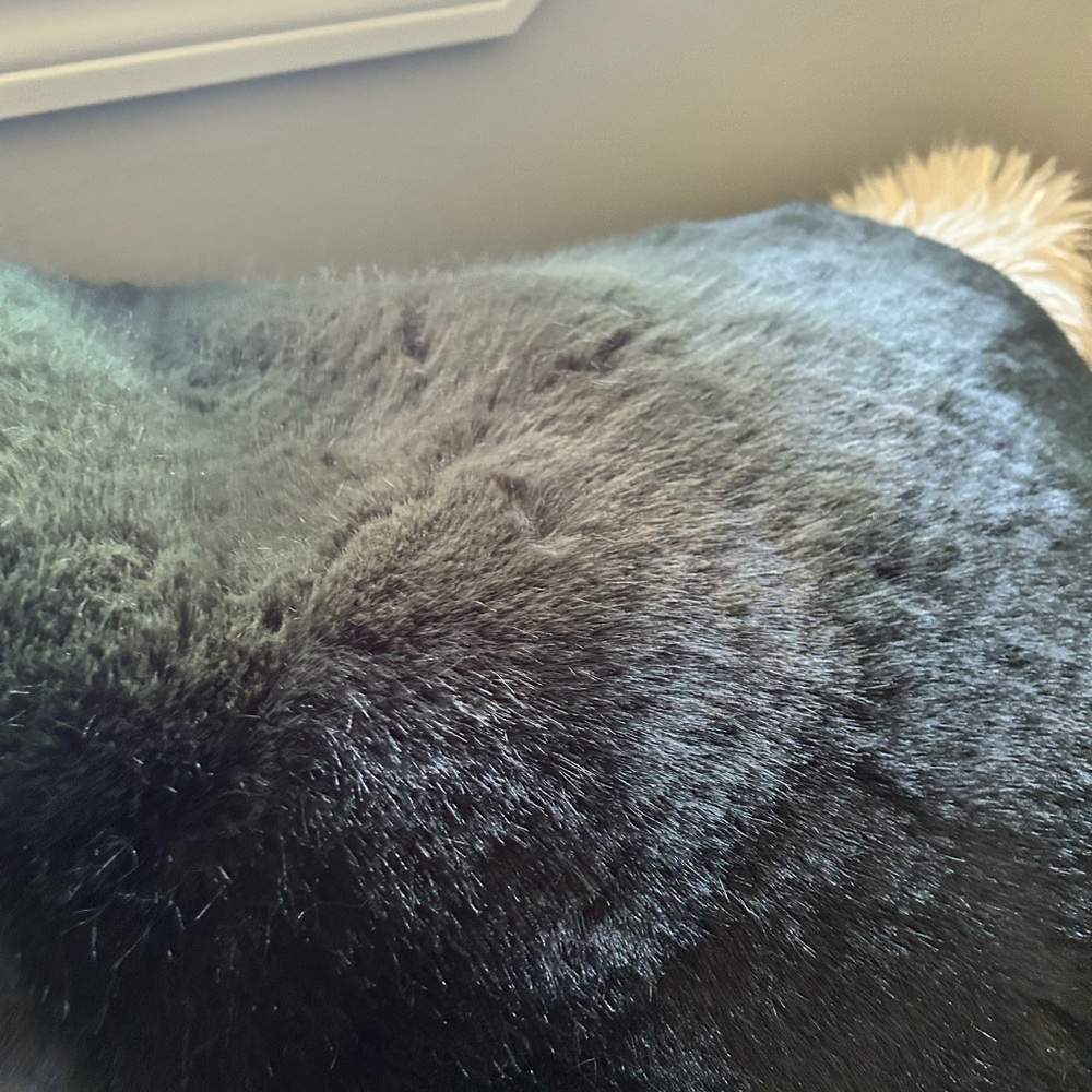 Pottery Barn faux fur pillow cover